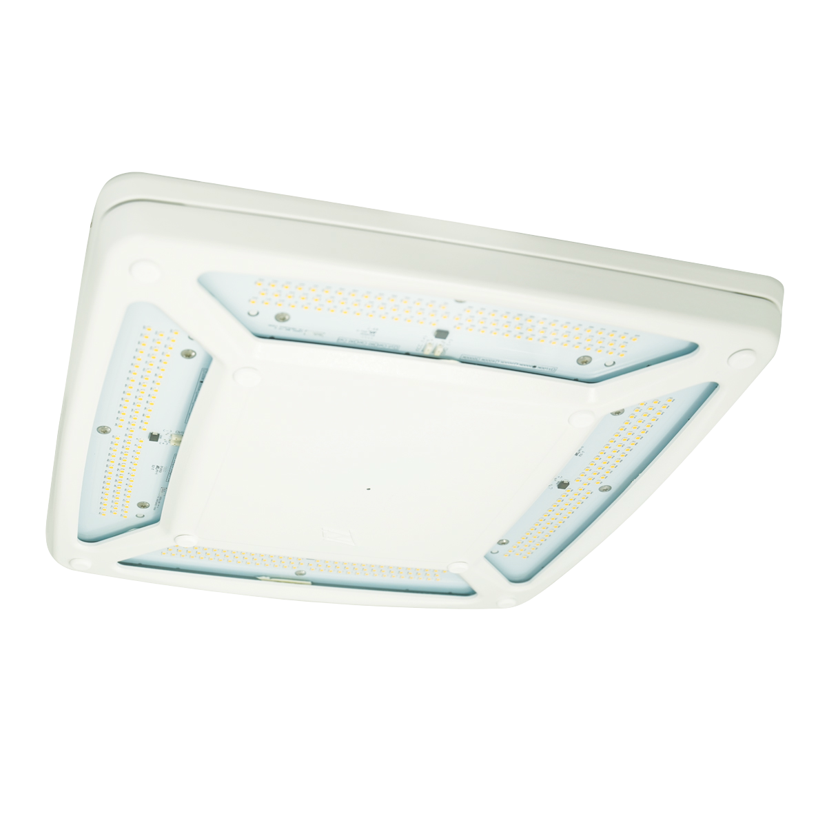 Scottsdale Vertex Series by LSI