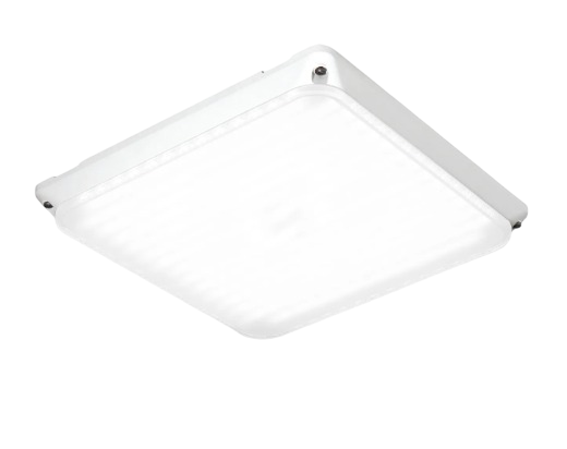 CPY500 Series by Cree
